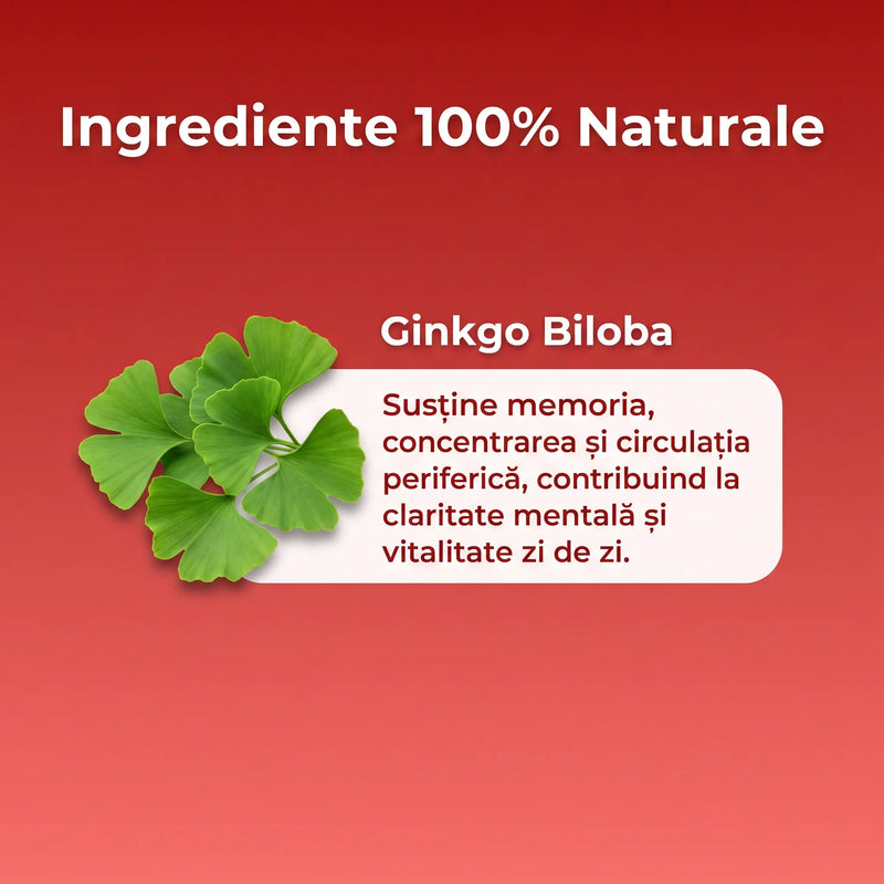 Ginkgo Biloba 4