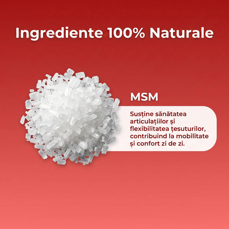 MSM Suport 4