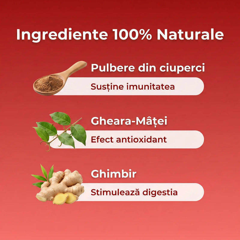 Pulmonar Protect® 4