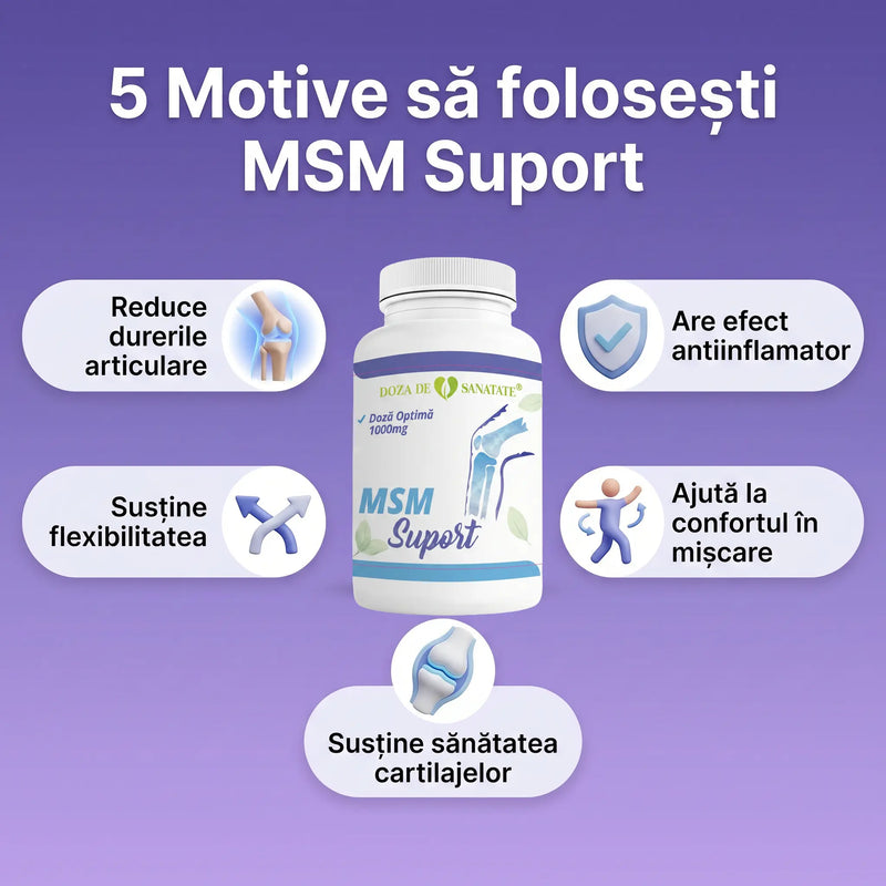 MSM Suport 5