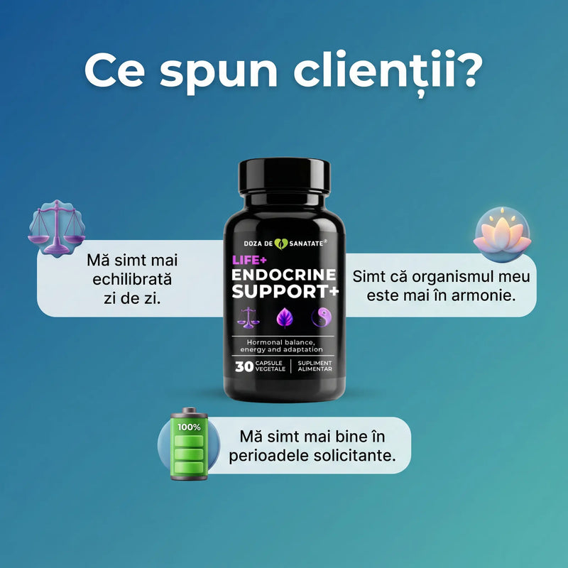 Life+ Endocrine Support+ 6