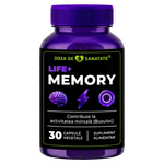 Life+ Memory thumbnail