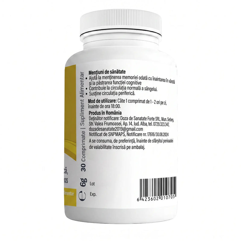 Ginkgo Biloba 3