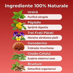 Pachet Herbal Detox + BioSlim thumbnail
