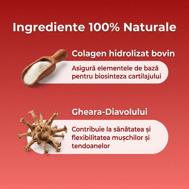 Artro Collagen® 4