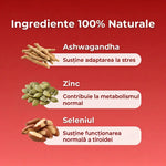 Life+ Endocrine Support+ thumbnail