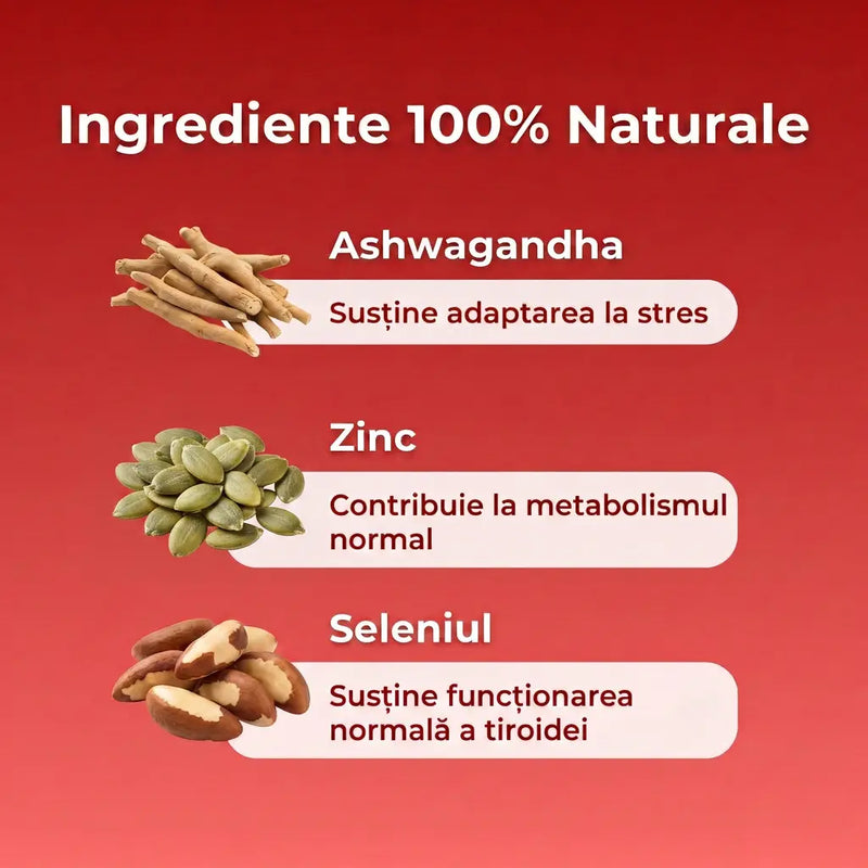 Life+ Endocrine Support+ 4