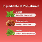 Herbal Detox thumbnail