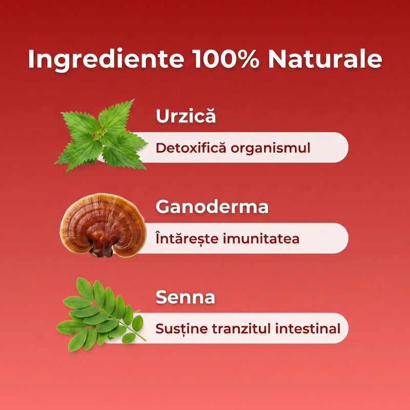 Herbal Detox 6