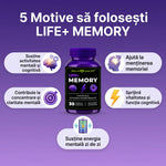 Life+ Memory thumbnail