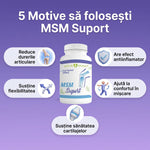 MSM Suport thumbnail