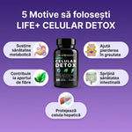 Life+ Celular Detox thumbnail