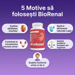 BioRenal® thumbnail