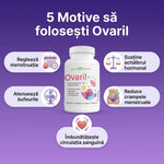 Ovaril thumbnail