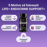 Life+ Endocrine Support+ thumbnail
