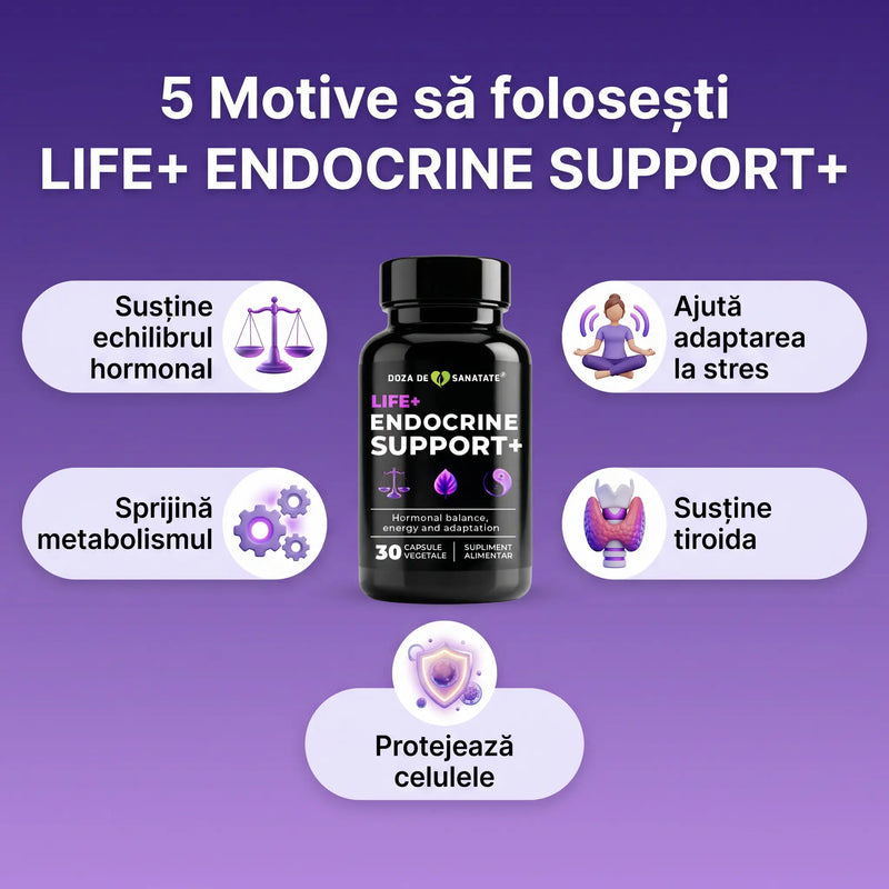 Life+ Endocrine Support+ 5