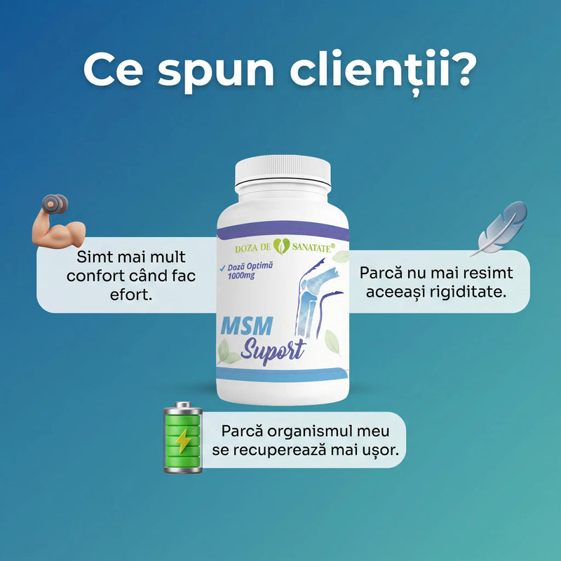MSM Suport 6